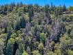 9237 DIAMOND DUST KELSEYVILLE, CA 95451
