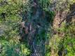 9237 DIAMOND DUST KELSEYVILLE, CA 95451