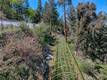 9237 DIAMOND DUST KELSEYVILLE, CA 95451