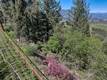 9237 DIAMOND DUST KELSEYVILLE, CA 95451