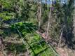 9237 DIAMOND DUST KELSEYVILLE, CA 95451