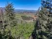 9237 DIAMOND DUST KELSEYVILLE, CA 95451