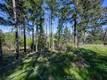 9237 DIAMOND DUST KELSEYVILLE, CA 95451