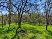 726 PARK LAKEPORT, CA 95453