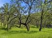 726 PARK LAKEPORT, CA 95453