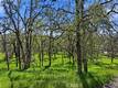 726 PARK LAKEPORT, CA 95453