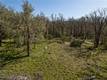 9200 KELSEY CREEK DRIVE KELSEYVILLE, CA 95451