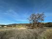 6965 HAMMOND AVENUE UPPER LAKE, CA 95485