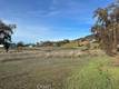 6965 HAMMOND AVENUE UPPER LAKE, CA 95485