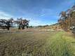 6965 HAMMOND AVENUE UPPER LAKE, CA 95485