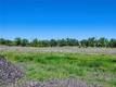 15870 KUGELMAN LOWER LAKE, CA 95457