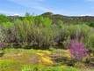 15080 POPPY MIDDLETOWN, CA 95461