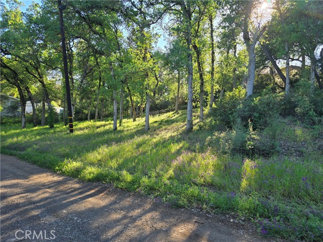 6176 ARMIJO AVENUE CLEARLAKE, CA 95422