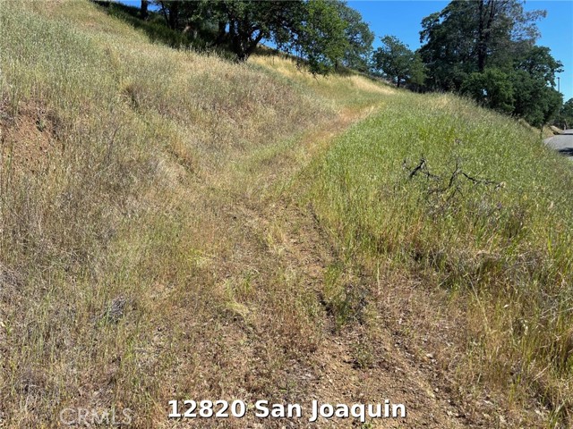 12820 SAN JOAQUIN CLEARLAKE, CA 95422