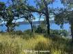 12820 SAN JOAQUIN CLEARLAKE, CA 95422