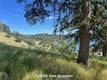 12820 SAN JOAQUIN CLEARLAKE, CA 95422
