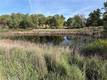 1100 OAK PARK LAKEPORT, CA 95453