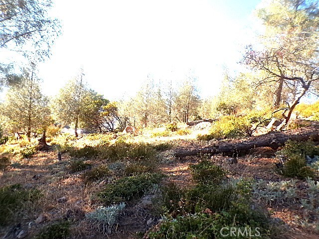 10070 EL CAPITAN WAY KELSEYVILLE, CA 95451