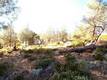 10070 EL CAPITAN WAY KELSEYVILLE, CA 95451
