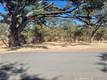 16366 36TH CLEARLAKE, CA 95422