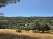 4720 IROQUOIS TRAIL KELSEYVILLE, CA 95451