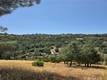 4736 IROQUOIS KELSEYVILLE, CA 95451