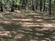 9208 DIAMOND DUST KELSEYVILLE, CA 95451