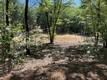 9208 DIAMOND DUST KELSEYVILLE, CA 95451