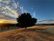2160 BELL HILL ROAD KELSEYVILLE, CA 95451