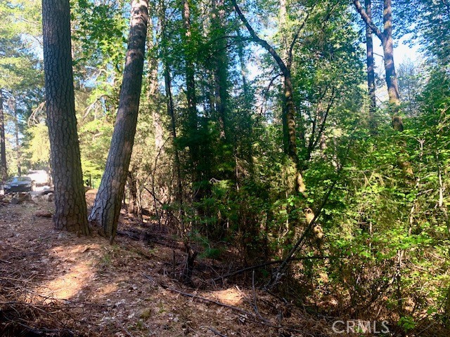 17325 FERNBROOK MIDDLETOWN, CA 95461