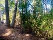 17325 FERNBROOK MIDDLETOWN, CA 95461