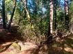 17325 FERNBROOK MIDDLETOWN, CA 95461
