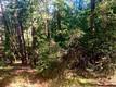 17325 FERNBROOK MIDDLETOWN, CA 95461