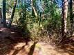 17325 FERNBROOK MIDDLETOWN, CA 95461