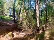 17325 FERNBROOK MIDDLETOWN, CA 95461
