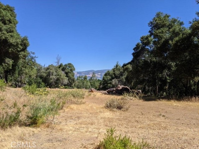 6535 PLEASANT COURT KELSEYVILLE, CA 95451