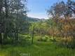 15566 JOSEPH TRAIL LOWER LAKE, CA 95457