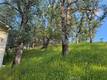 15566 JOSEPH TRAIL LOWER LAKE, CA 95457