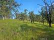 15566 JOSEPH TRAIL LOWER LAKE, CA 95457