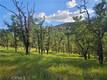 15566 JOSEPH TRAIL LOWER LAKE, CA 95457