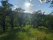 15566 JOSEPH TRAIL LOWER LAKE, CA 95457