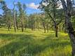 15566 JOSEPH TRAIL LOWER LAKE, CA 95457