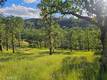 15566 JOSEPH TRAIL LOWER LAKE, CA 95457