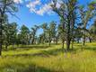 15566 JOSEPH TRAIL LOWER LAKE, CA 95457