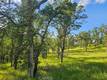 15566 JOSEPH TRAIL LOWER LAKE, CA 95457