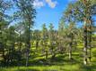 15566 JOSEPH TRAIL LOWER LAKE, CA 95457