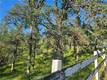15566 JOSEPH TRAIL LOWER LAKE, CA 95457