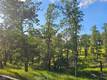15566 JOSEPH TRAIL LOWER LAKE, CA 95457