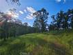 15566 JOSEPH TRAIL LOWER LAKE, CA 95457
