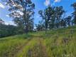 15566 JOSEPH TRAIL LOWER LAKE, CA 95457